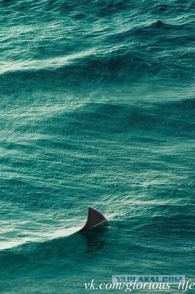 Подборка картинок 29.03.16