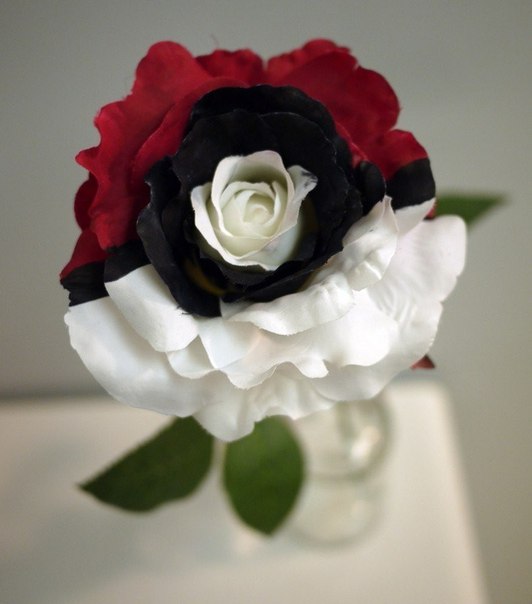 Интересные и веселые картинки