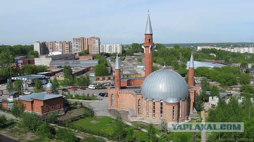 Жители Новосибирска собирают подписи против религиозных шествий в центре города