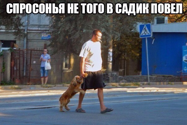 Подборка картинок