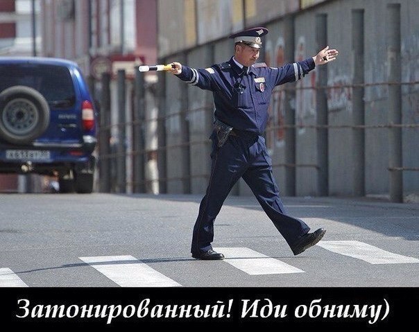 Подборка безудержного веселья