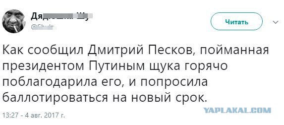 Путин пообещал подумать о выдвижении своей кандидатуры на выборах президента