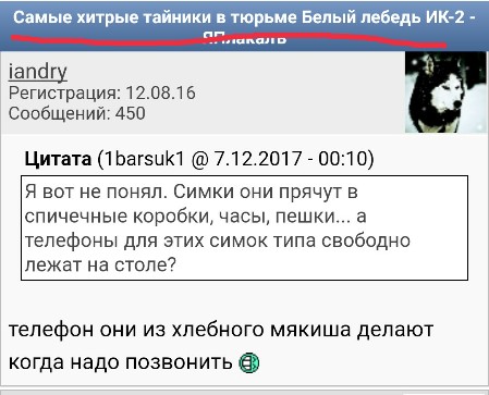 Смешные комментарии из социальных сетей 08.12.2017