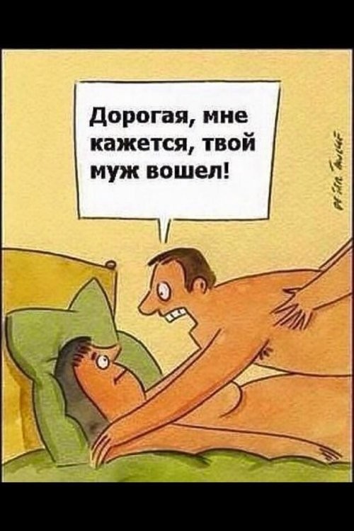 Итоги проверки пользователей