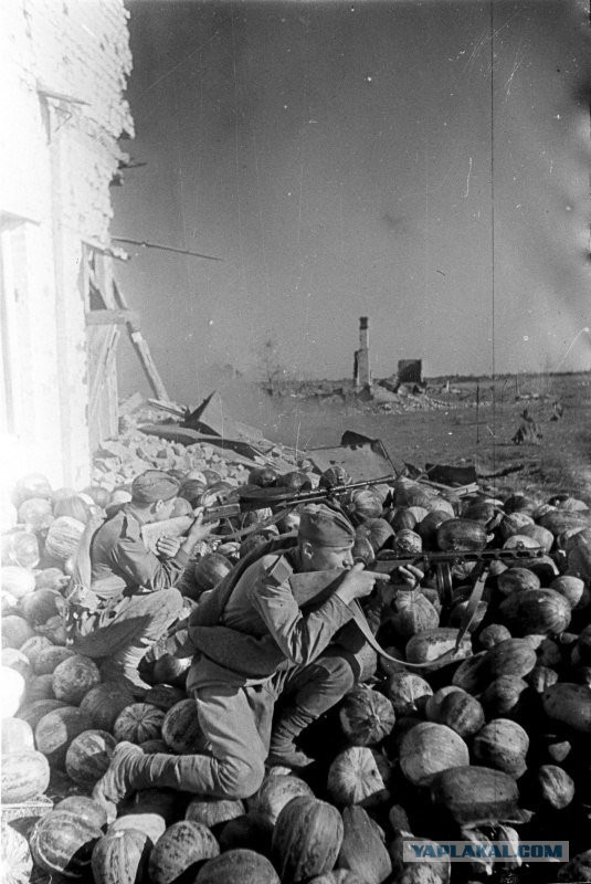 История в фотографиях
