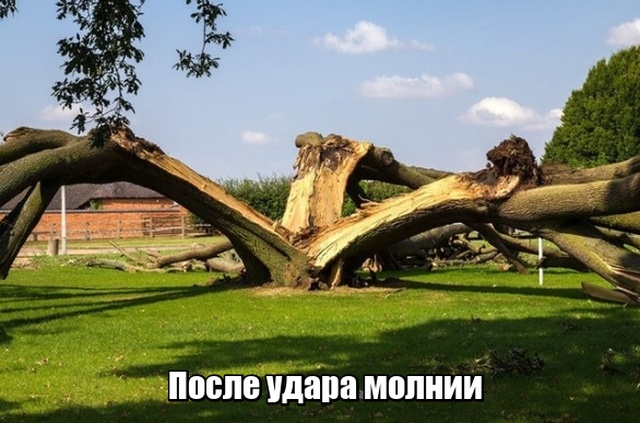 Нестандартный юмор
