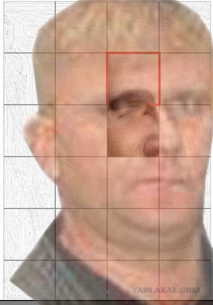 Кто изображен на картинке?