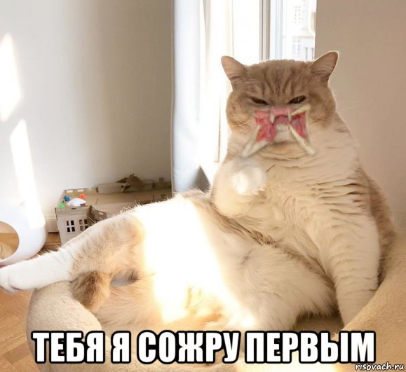 Картинки на воскресный день