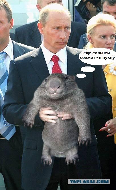 Фотожаба: Путин и зверь