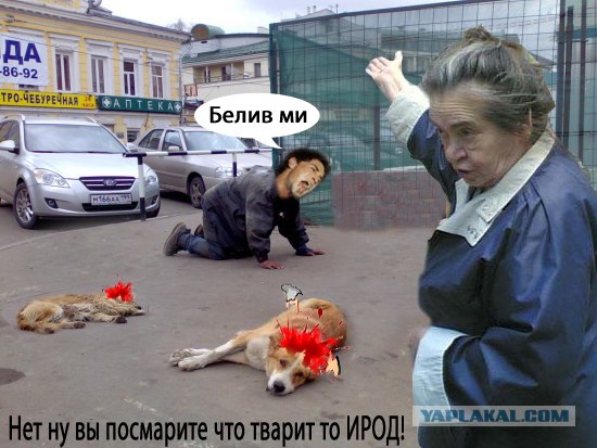 Лучший друг человека.... или наоборот!?