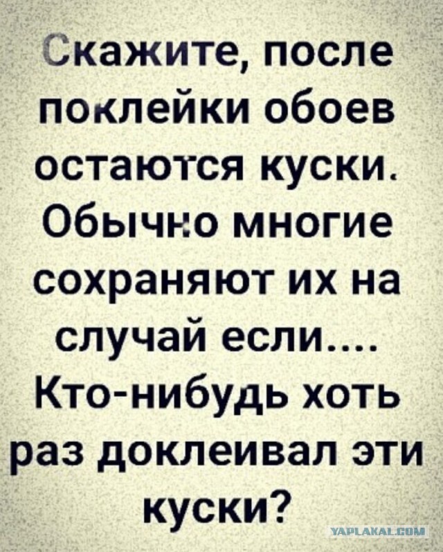 Фотки и картинки: юморные и красивые, забавные и милые 13.11.20