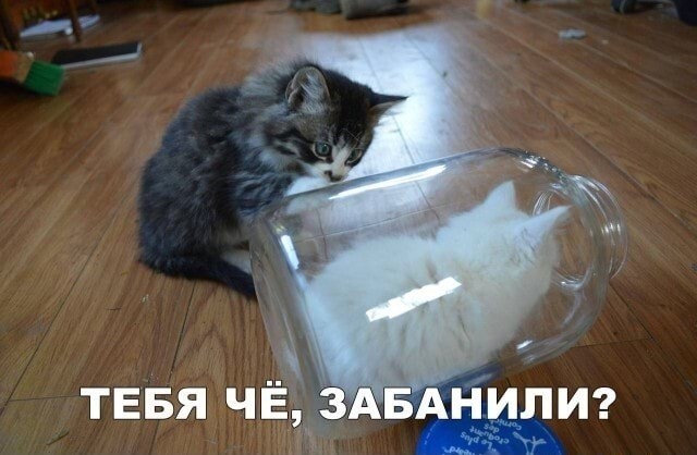 Зачем жена, если она не работает и не убирается?
