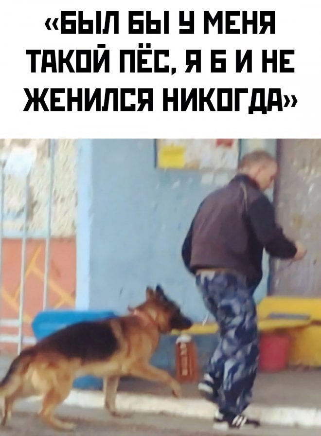 15675955.jpg
