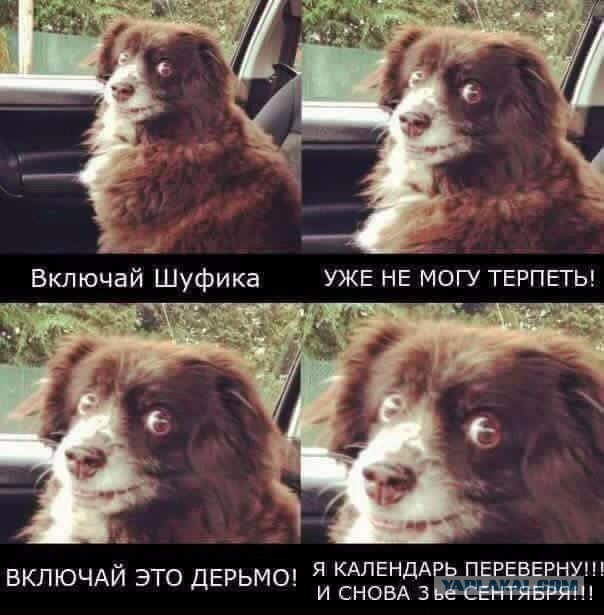 Кассета, которая убивает