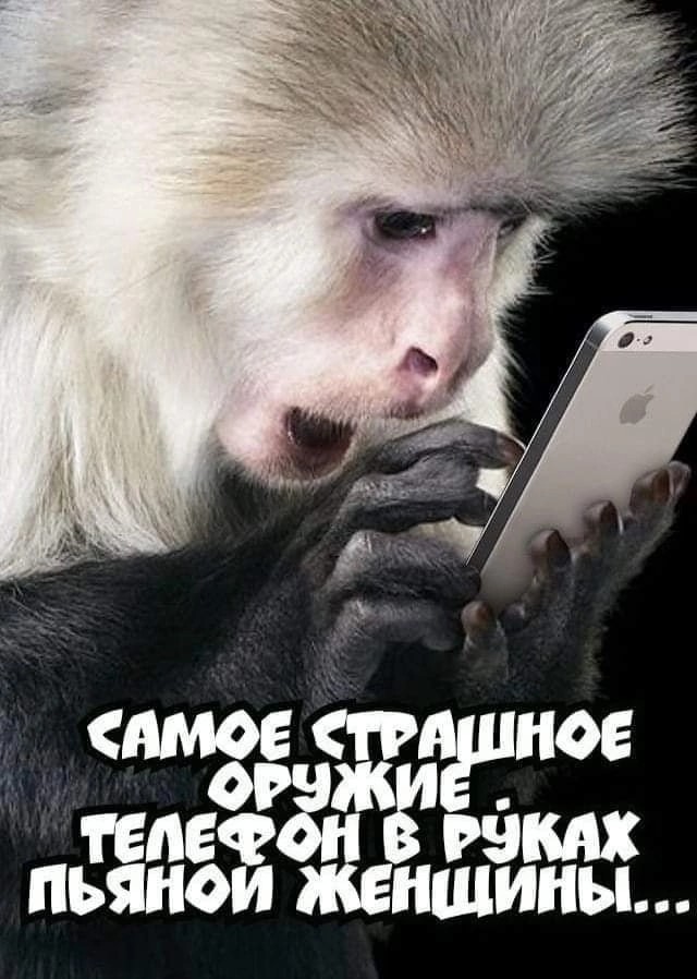 Картинки 21.06.22