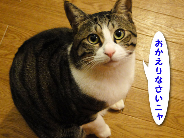 Фотографии с прогулки по Токио