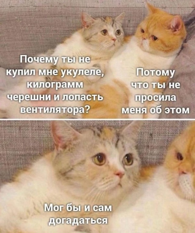 Немного картинок для настроения - 137