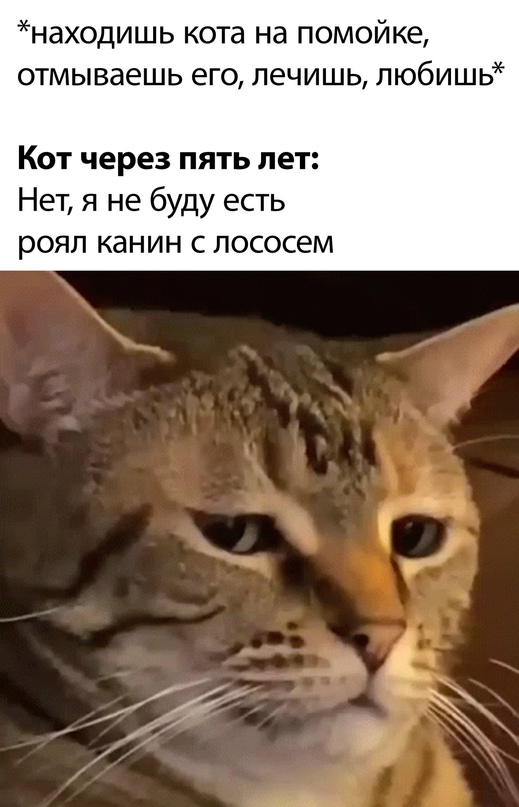Картинки и мемы, всяко - 169
