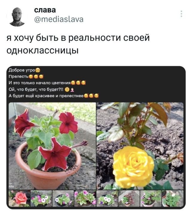 Скриншоты и комментарии из социальных сетей 07.07.23