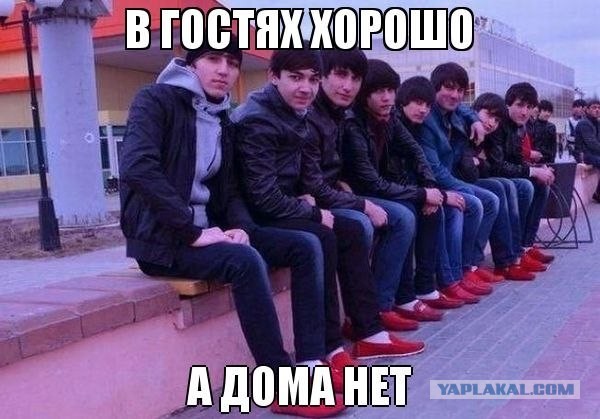 "Хозяева" дорог......