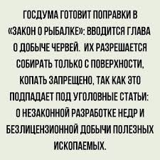 В Госдуме предложили запретить россиянам «тапать хомяка»