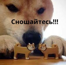 Налог на бездетность до 20% от дохода неженатых мужчин предложили ввести в России