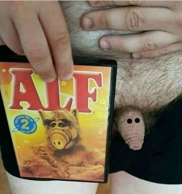 Впервые на сайте прочитал правдивый комментарий в темах о женщинах/мужчинах. Опрос