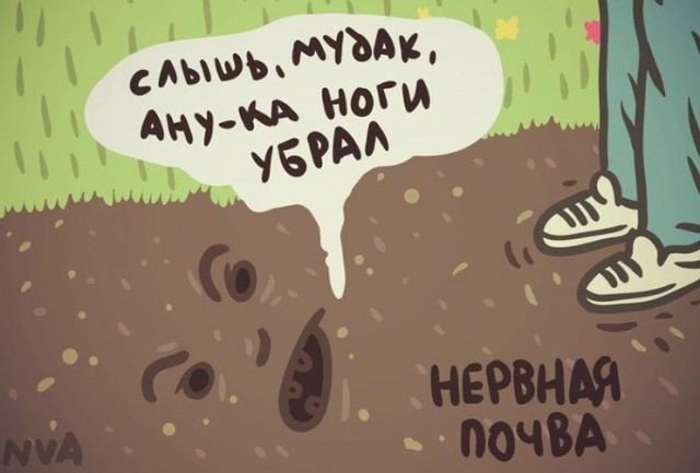 Веселые картинки в пятницу (28.08)