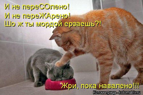 Капля позитива