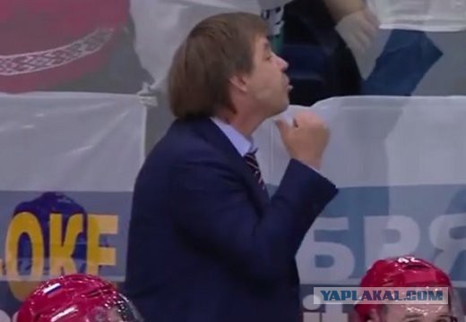 Мы чемпионы по хоккею на ЧМ 2014 в Белорусии!