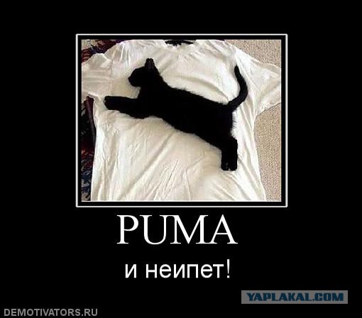 Китайские "бренды"
