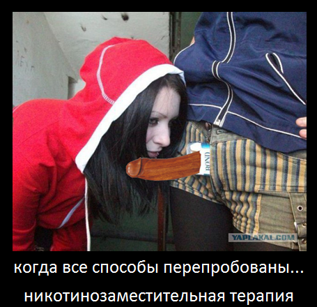 Вестник соц сетей