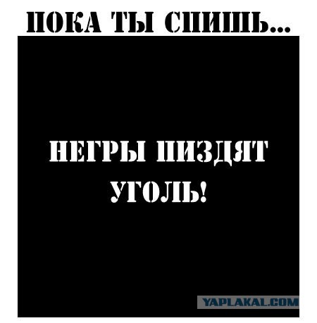 Медведев ограничит численность скота у населения