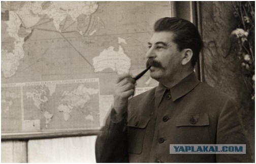 Историк поднял бунт в системе образования