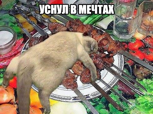 Немного картинок и демотиваторов