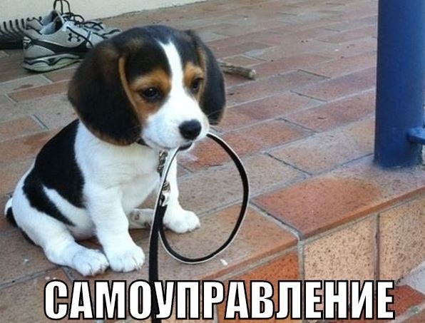 Подборка забавных картинок