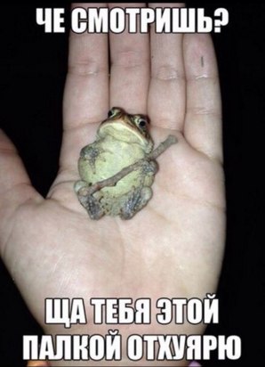 Подборка прикольных картинок