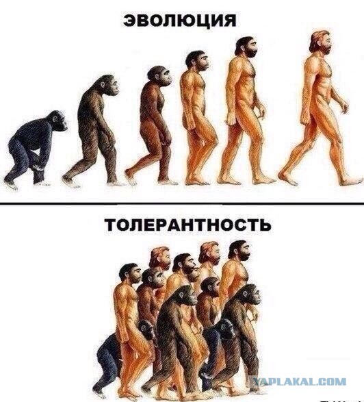 Канцлер Германии назвала Россию главным виновником происходящего в Сирии