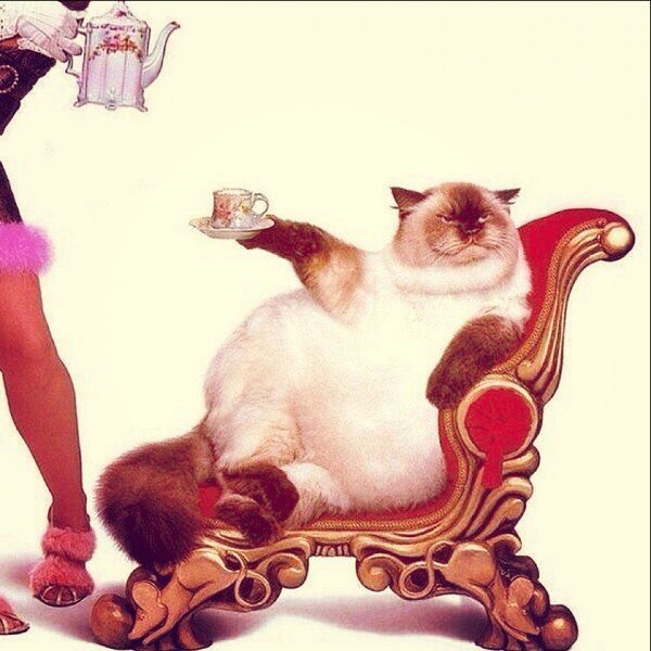 Подборка идиотских фотографий часть 3