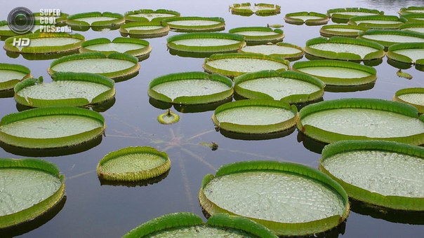 Интересные и веселые картинки