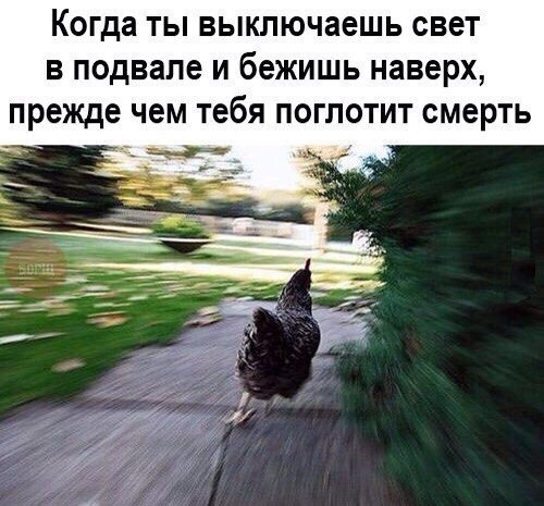 Небольшой микс картинок и гифок
