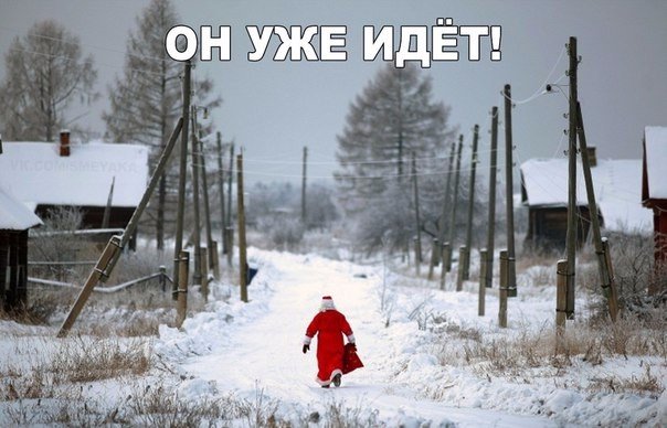 Весёлые картинки 07.12.16