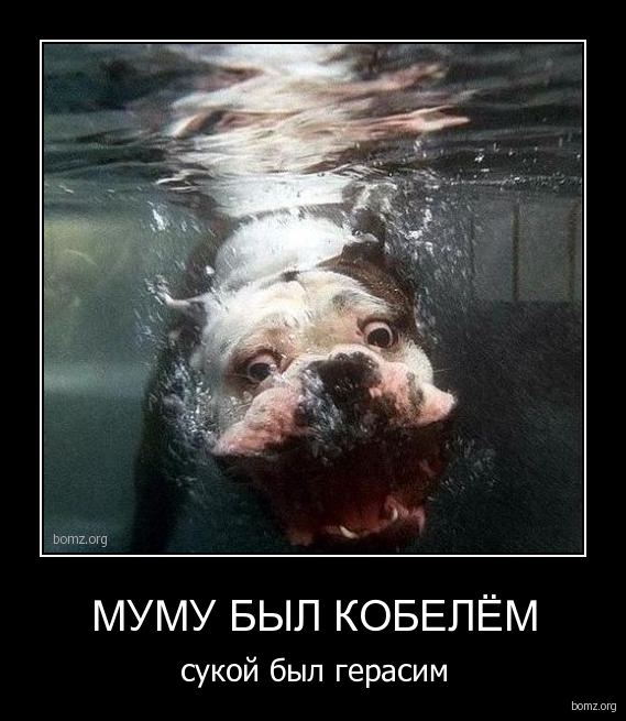 Старые добрые демотиваторы