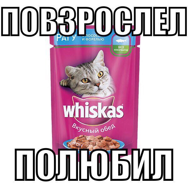 Смотрим и деградируем