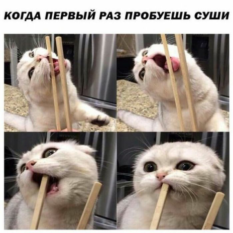 Приколы, которые поднимут вам настроение