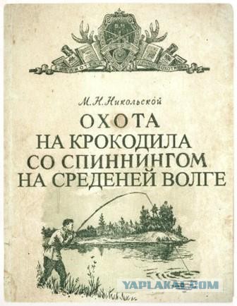 Белорусские власти потребовали объяснений от хозяина ловившей зайцев кошки