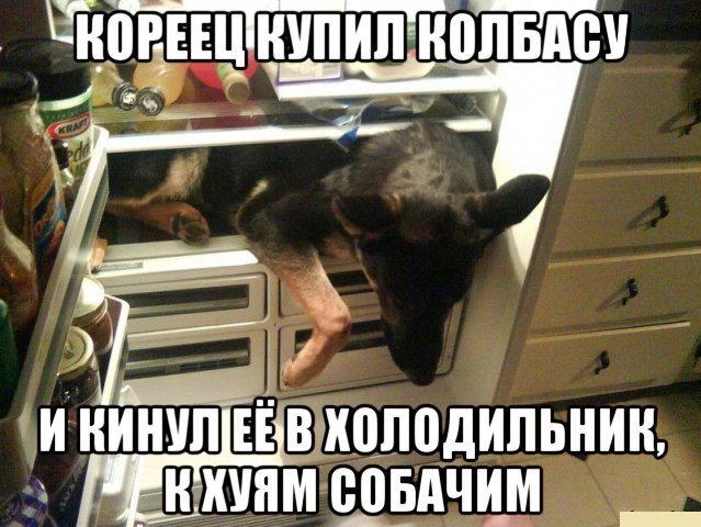 Не очень светлый юмор к середине недели
