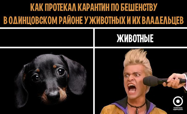 Женщина ударила ногой трёхлетнего ребенка, защищая свою собачку