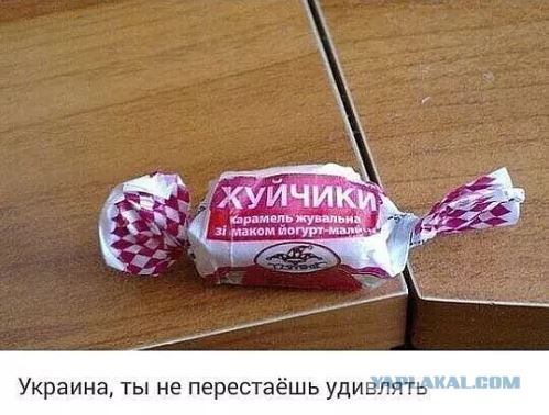 Учителям на Урале запретили с 1 декабря называть русский язык родным