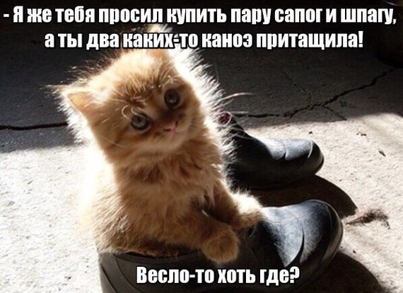 Нестандартный юмор